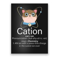 Cation Science Joke Funny Poster