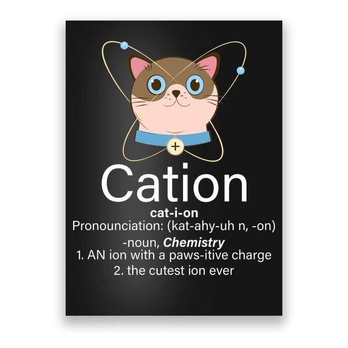 Cation Science Joke Funny Poster