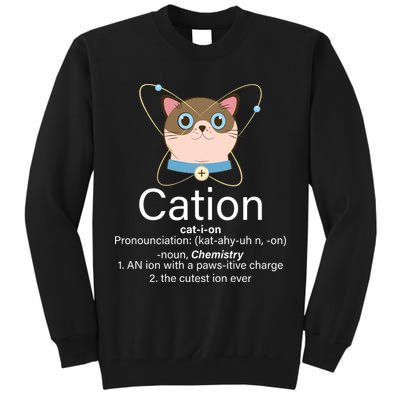 Cation Science Joke Funny Tall Sweatshirt