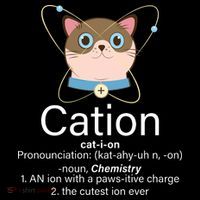 Cation Science Joke Funny Baby Bodysuit
