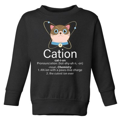 Cation Science Joke Funny Toddler Sweatshirt