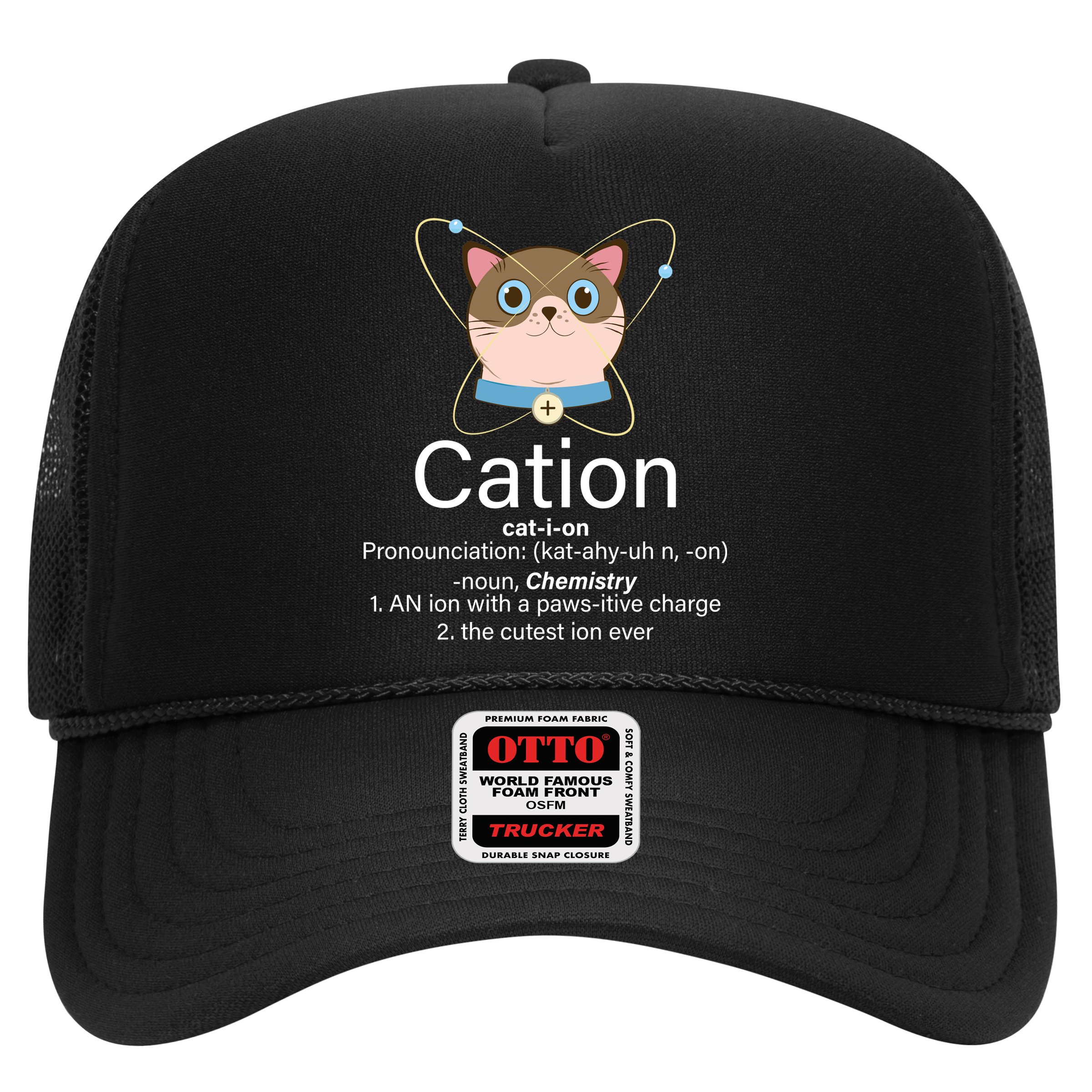 Cation Science Joke Funny Hat