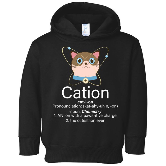 Cation Science Joke Funny Toddler Hoodie