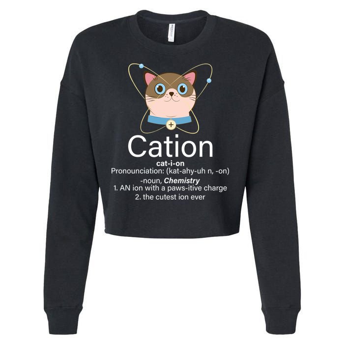 Cation Science Joke Funny Cropped Pullover Crew