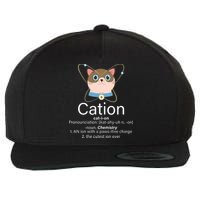 Cation Science Joke Funny Wool Snapback Cap