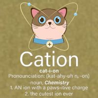 Cation Science Joke Funny Garment-Dyed Women's Muscle Tee