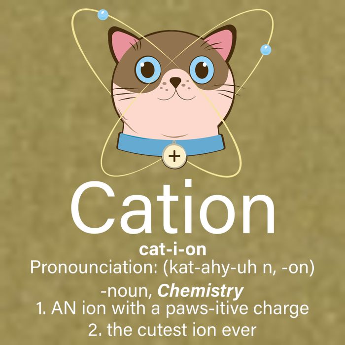 Cation Science Joke Funny Garment-Dyed Women's Muscle Tee