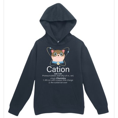 Cation Science Joke Funny Urban Pullover Hoodie