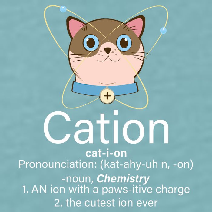 Cation Science Joke Funny Sueded Cloud Jersey T-Shirt