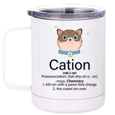 Cation Science Joke Funny 12 oz Stainless Steel Tumbler Cup