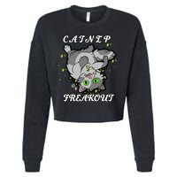 Catnip Freakout Cropped Pullover Crew