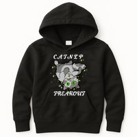 Catnip Freakout Kids Hoodie