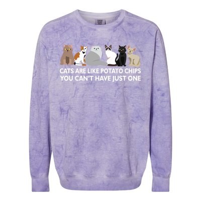 Cats Are Like Potato Chips Colorblast Crewneck Sweatshirt