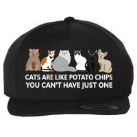 Cats Are Like Potato Chips Wool Snapback Cap