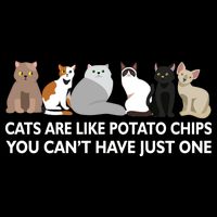 Cats Are Like Potato Chips Wool Snapback Cap