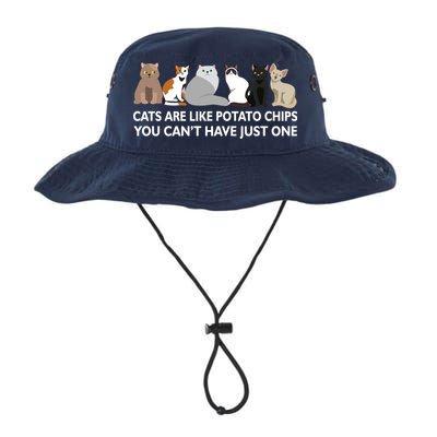 Cats Are Like Potato Chips Bucket Hat