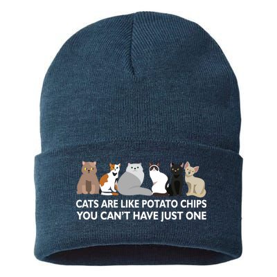 Cats Are Like Potato Chips Sustainable Knit Beanie