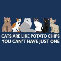 Cats Are Like Potato Chips Pom Pom 12in Knit Beanie