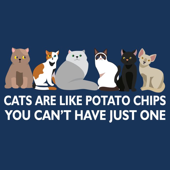 Cats Are Like Potato Chips Pom Pom 12in Knit Beanie