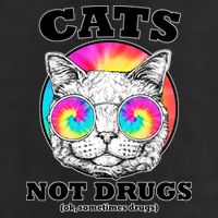 Cats Not Drugs Ok Sometimes Drugs 11oz C Handle Ceramic Mug