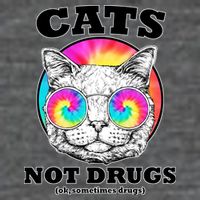 Cats Not Drugs Ok Sometimes Drugs 7 Panel Mesh Trucker Snapback Hat