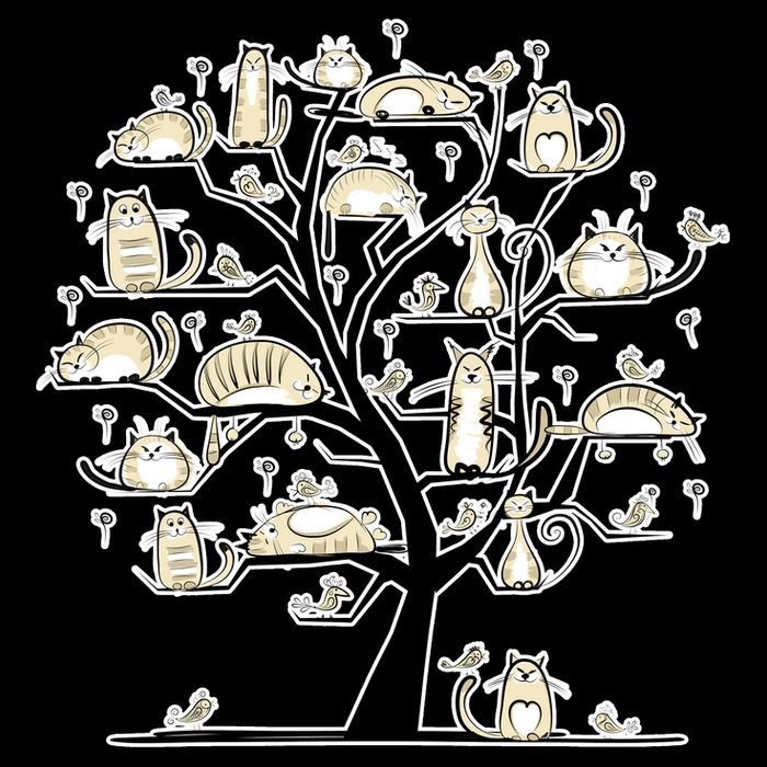 Cats On Trees Apron