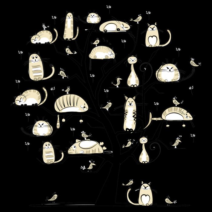 Cats On Trees 16oz Travel Tumbler