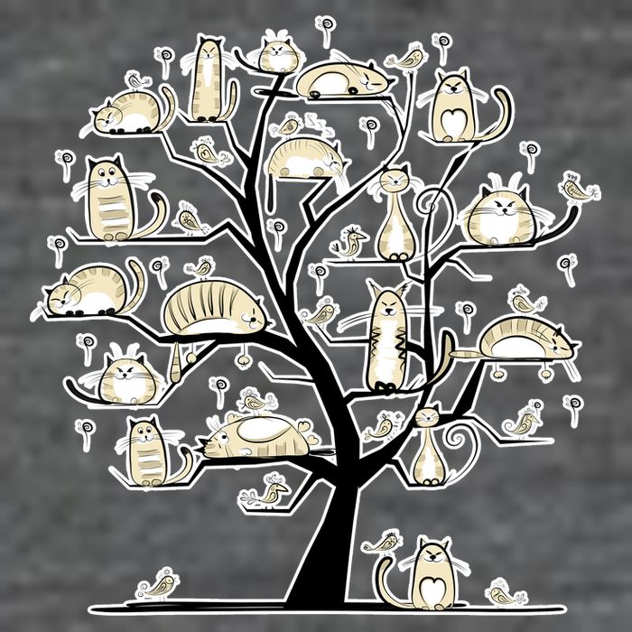 Cats On Trees T-Shirt
