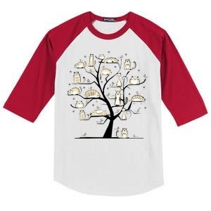 Cats On Trees Kids Colorblock Raglan Jersey