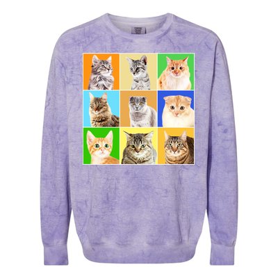 Cats Photo Portraits Collage Colorblast Crewneck Sweatshirt