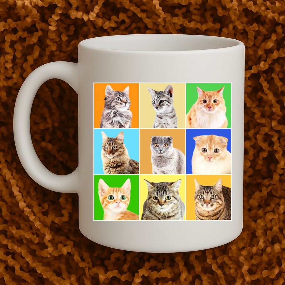 Cats Photo Portraits Collage Mug