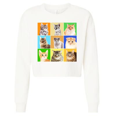 Cats Photo Portraits Collage Cropped Pullover Crew