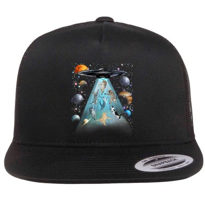 Cat Alien Ufo Gifts Space Cat Galaxy Cat Funny For Cat Dad Cat Mom Cat Lover Flatbill Hat