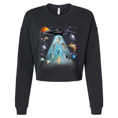 Cat Alien Ufo Gifts Space Cat Galaxy Cat Funny For Cat Dad Cat Mom Cat Lover Cropped Pullover Crew