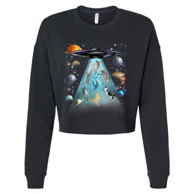 Cat Alien Ufo Gifts Space Cat Galaxy Cat Funny For Cat Dad Cat Mom Cat Lover Cropped Pullover Crew