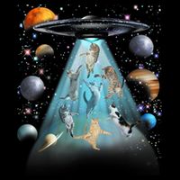Cat Alien Ufo Gifts Space Cat Galaxy Cat Funny For Cat Dad Cat Mom Cat Lover Short Acrylic Beanie