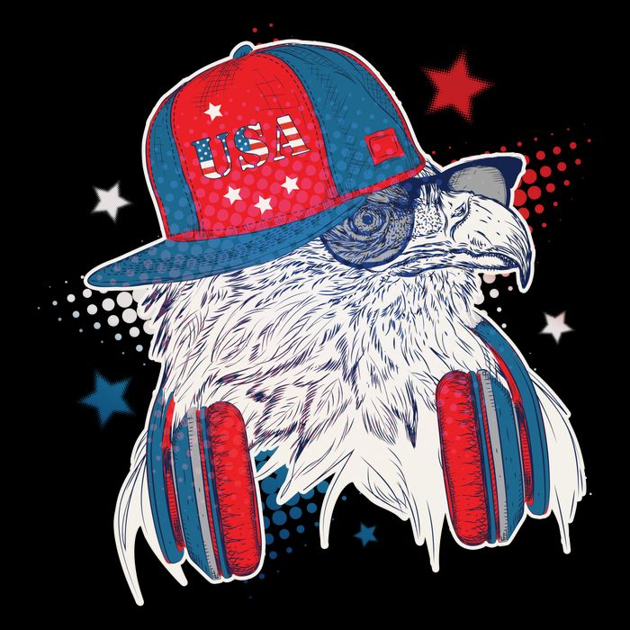 Cool American USA Flag Hipster DJ Eagle City Backpack