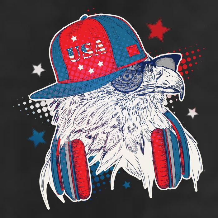 Cool American USA Flag Hipster DJ Eagle 11oz C Handle Ceramic Mug