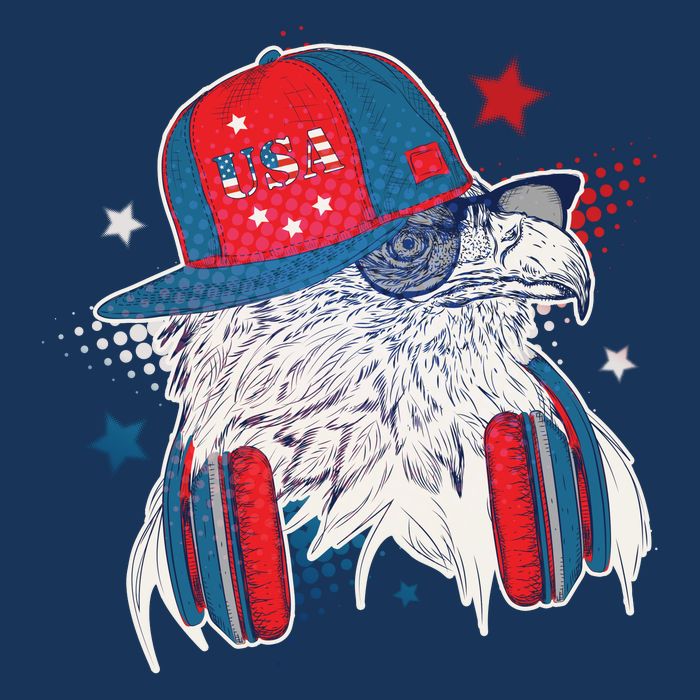 Cool American USA Flag Hipster DJ Eagle Womens T-Shirt