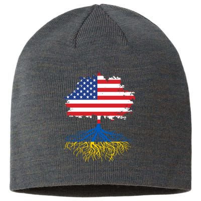 Cool American Ukrainian Roots I Stand With Ukraine USA Ukraine Flags Sustainable Beanie