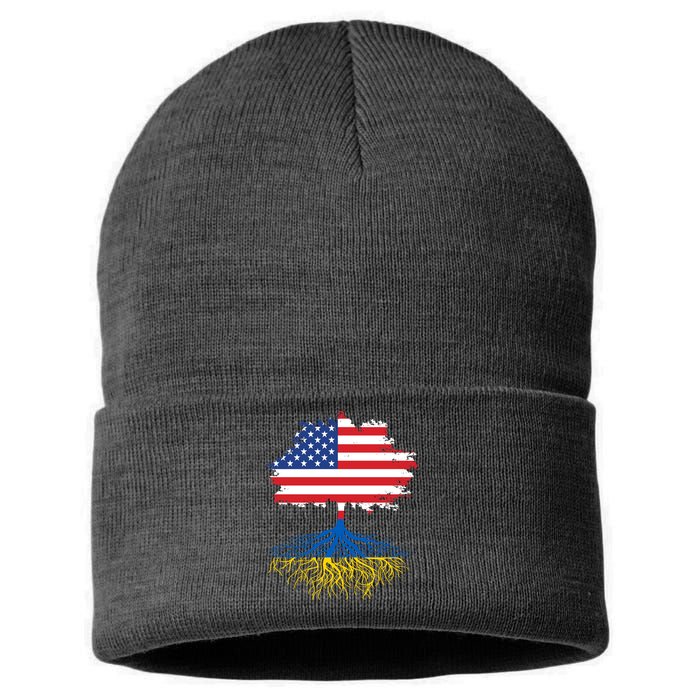 Cool American Ukrainian Roots I Stand With Ukraine USA Ukraine Flags Sustainable Knit Beanie