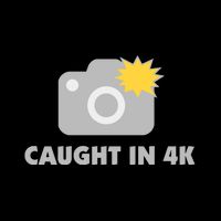Caught In 4K Backpack