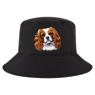 Cavalier King Charles Spaniel Dog Cool Comfort Performance Bucket Hat