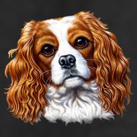 Cavalier King Charles Spaniel Dog Cool Comfort Performance Bucket Hat