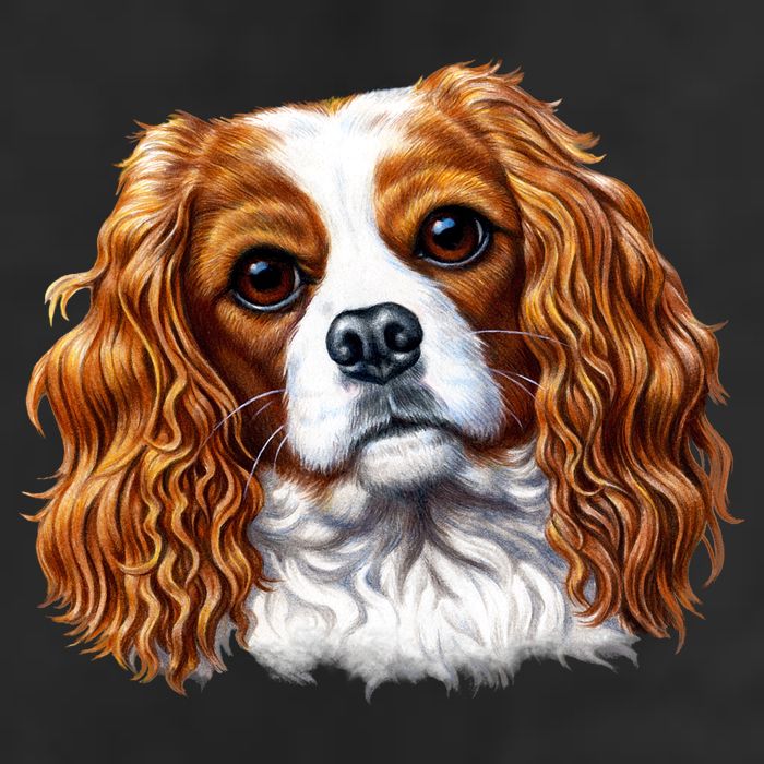 Cavalier King Charles Spaniel Dog Cool Comfort Performance Bucket Hat