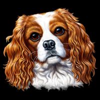 Cavalier King Charles Spaniel Dog Cropped Pullover Crew