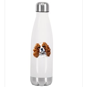 Cavalier King Charles Spaniel Dog Stainless Steel Insulated Water Bottle