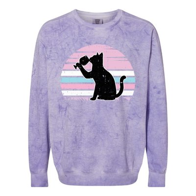 Cat And Wine Intersexual Pride Retro Ing Lgbtq Ally Gift Colorblast Crewneck Sweatshirt