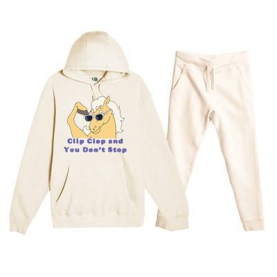 Clip-Clop And You Don't Stop Horse funny Premium Hooded Sweatsuit Set