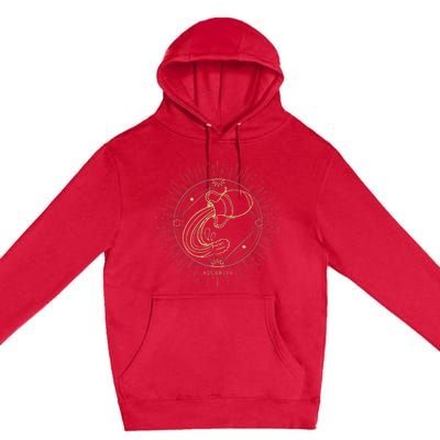 Celestial Aquarius Zodiac Sign November December Birthday Premium Pullover Hoodie